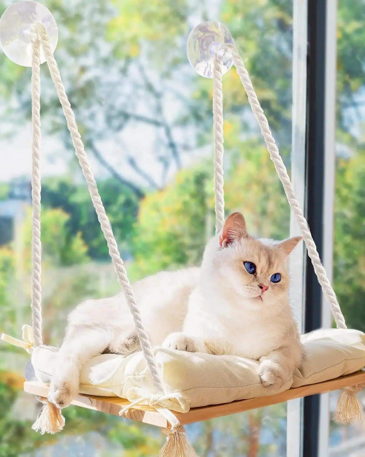 Cat Window Hammock Bed Kitten Sunny Seat Hanging Mount Beds Cat Sofa playing double-decker tunnels Suction Cup Wall Pet Hanging