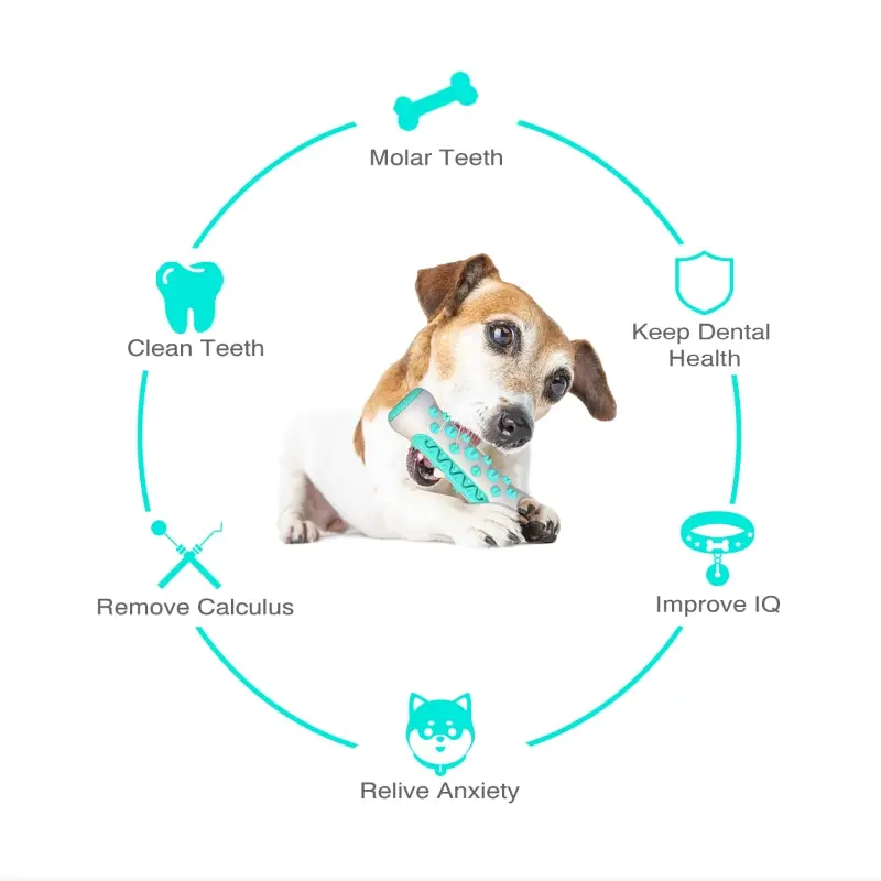 Zabawka dla psa kijek na ząbkowanie do żucia czyszczenie zębów kości szczoteczka do zębów dla psa TPR bezpieczny szczeniak pielęgnacja zębów