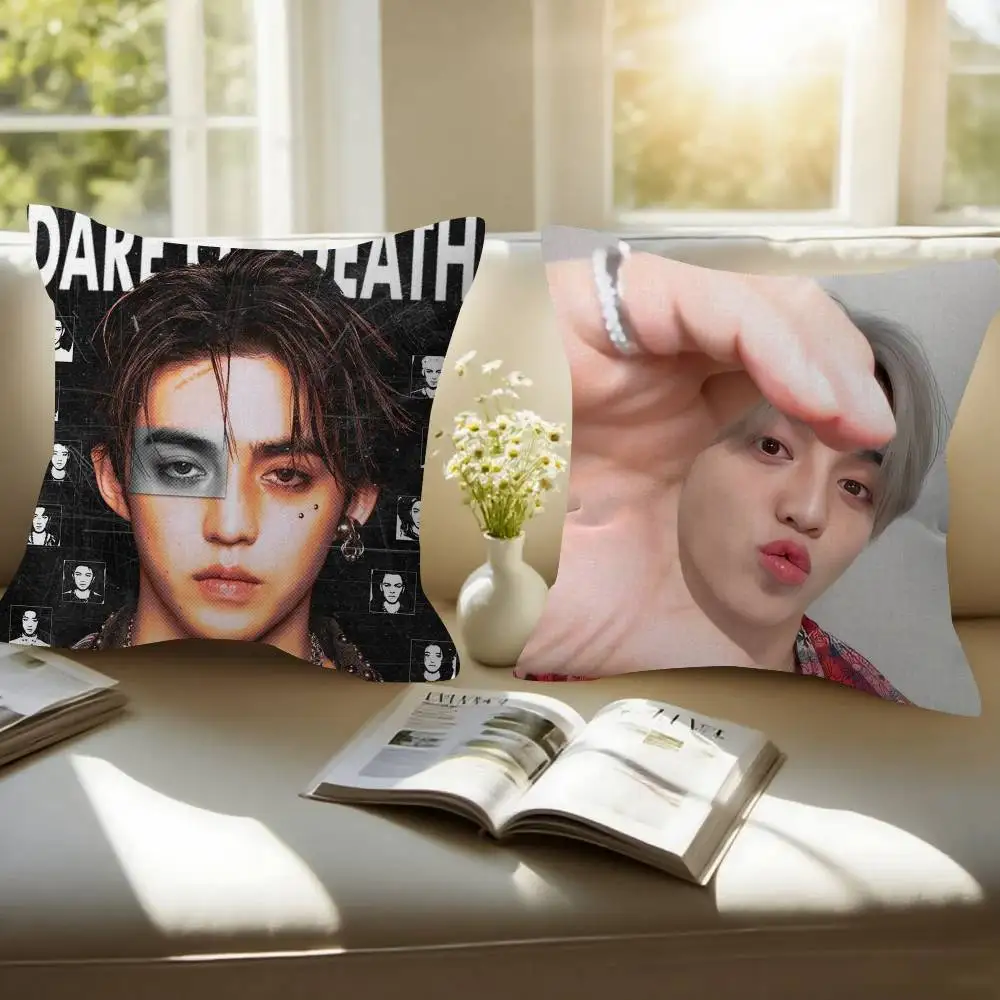 Singer S-Scoups handsome Double-sided Printed pillow cover Short plush Suitable living rooms bedrooms sofas throw cushion cover