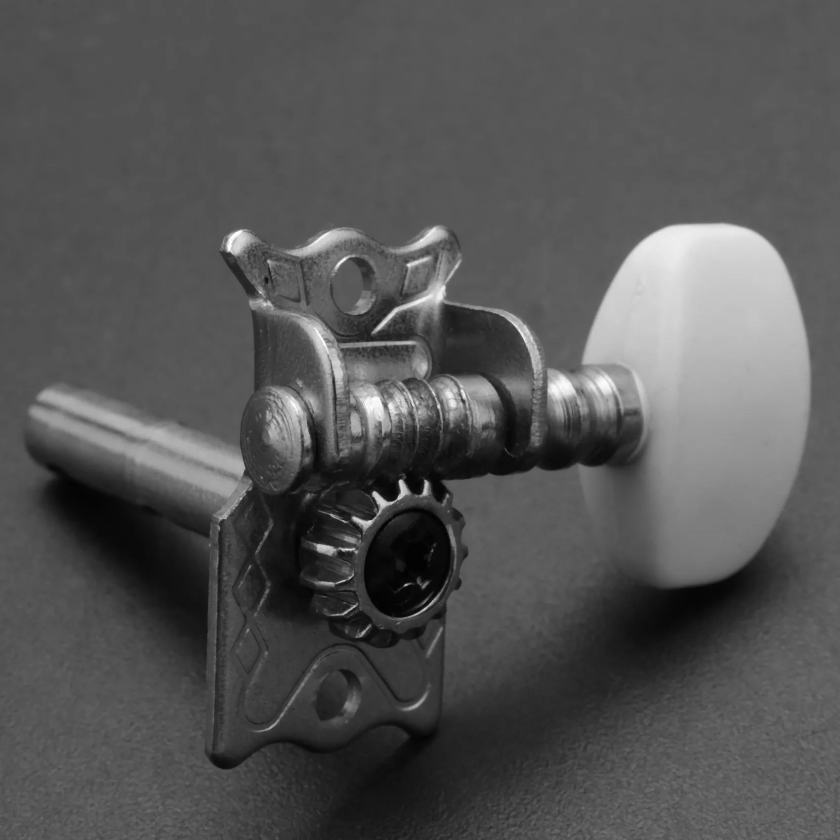 NALFI-24Pcs Acoustic Guitar String Tuning Peg Tuner Machine Head