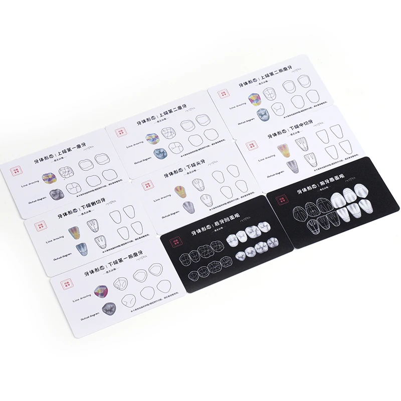 

9 шт., стоматологическая композитная смола, тренировочная доска для наполнения зубов, Морфологическая доска, анатомическая модель, шаблон для изучения зубов