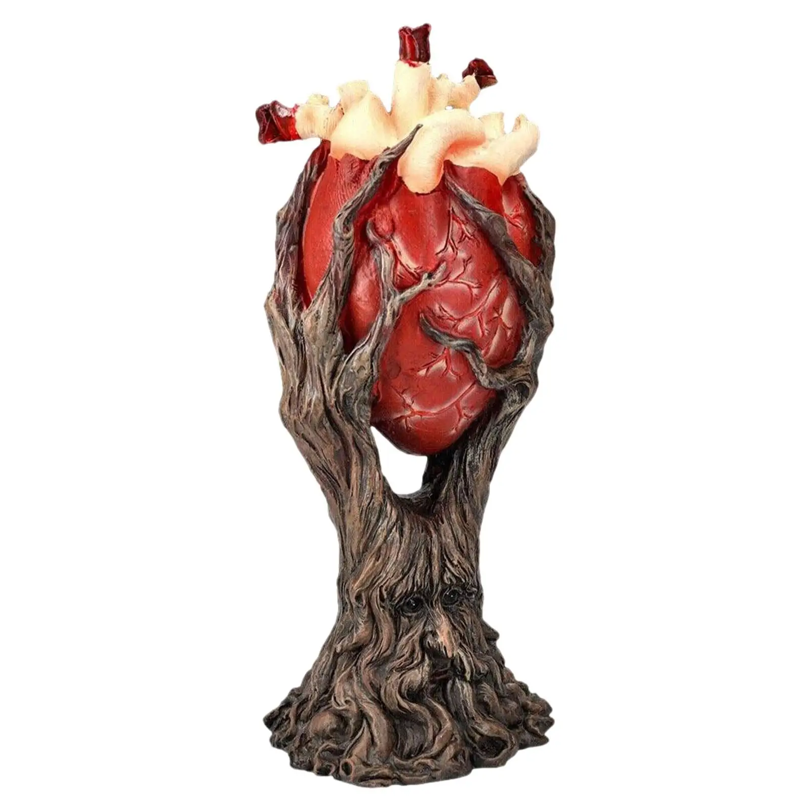 Human Heart Structure Model with Stand Heart Model for Bookshelf Desk Home