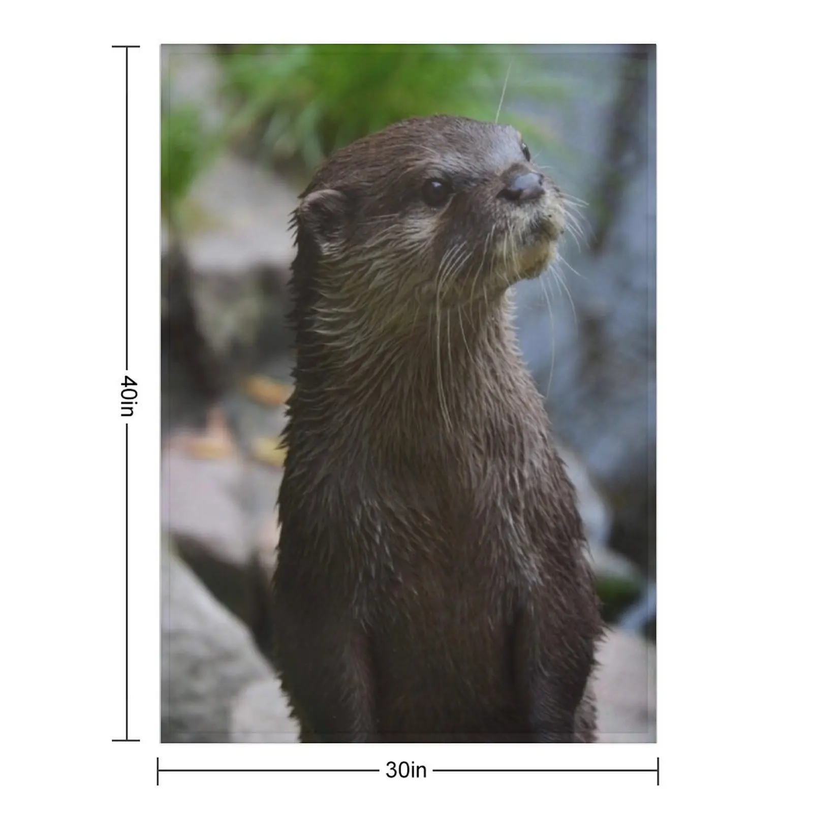 Otter Closeup Throw Blanket Furrys Thermals For Travel Luxury Throw Warm Blankets