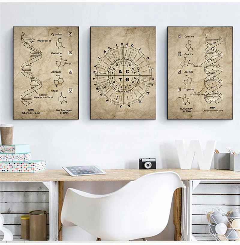 DNA and RNA Genetic Code Wall Art Canvas Painting Prints Genetics Biochemistry Student Gift Vintage Posters Science Wall Decor