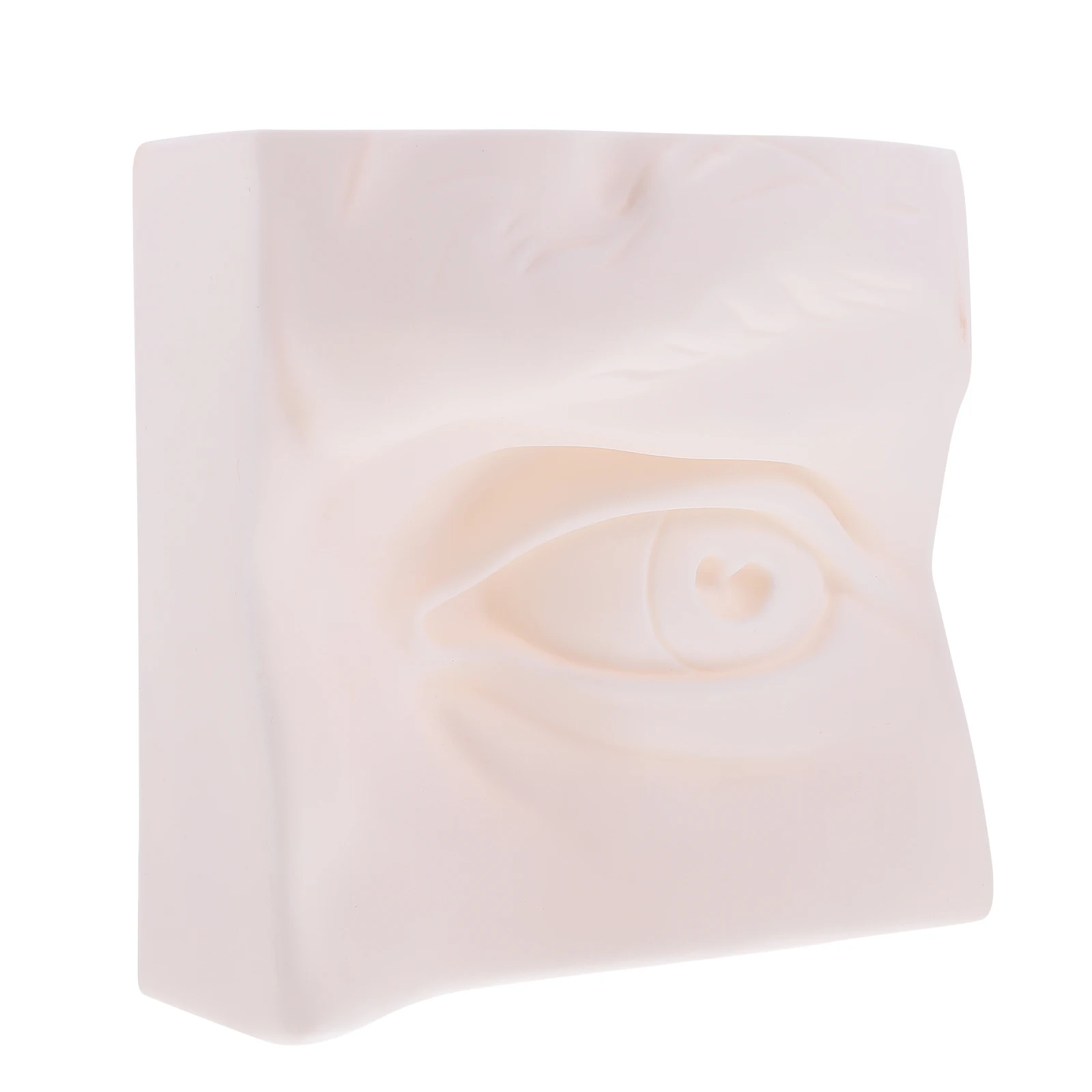 

Student Sketch Models Creative Shape Design Painting Props Sense Organ Teaching Tools Bedroom Decoration Study Aids