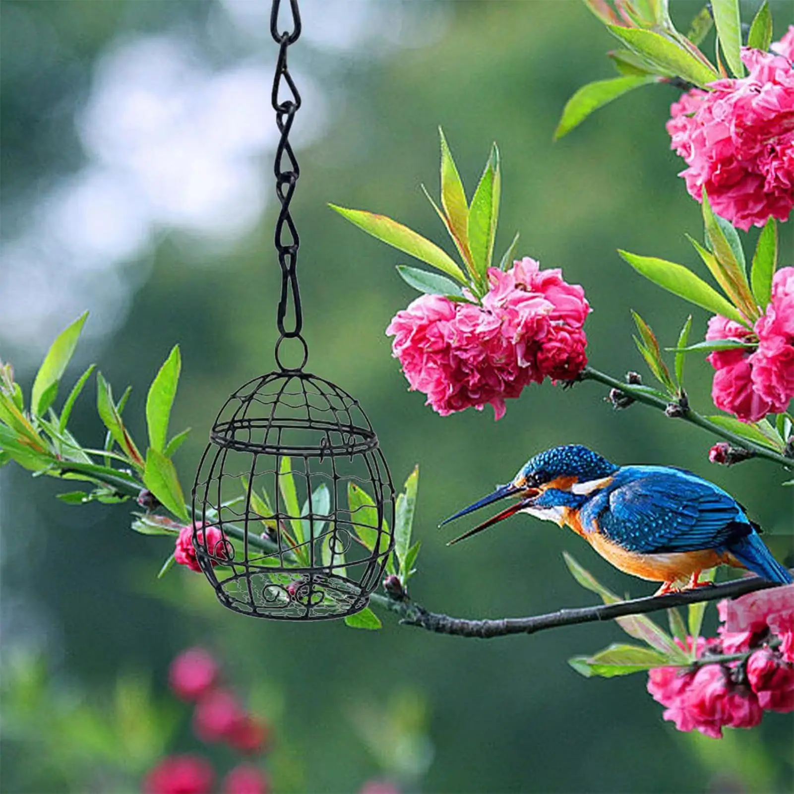 Hängender Vogelfutterspender, Suet-Ball-Futterspender, Halter für Suet-Bälle zur Vogelfütterung, Vogelfutterspender aus Metall, Fettball-Energie-Vogelfutterspender