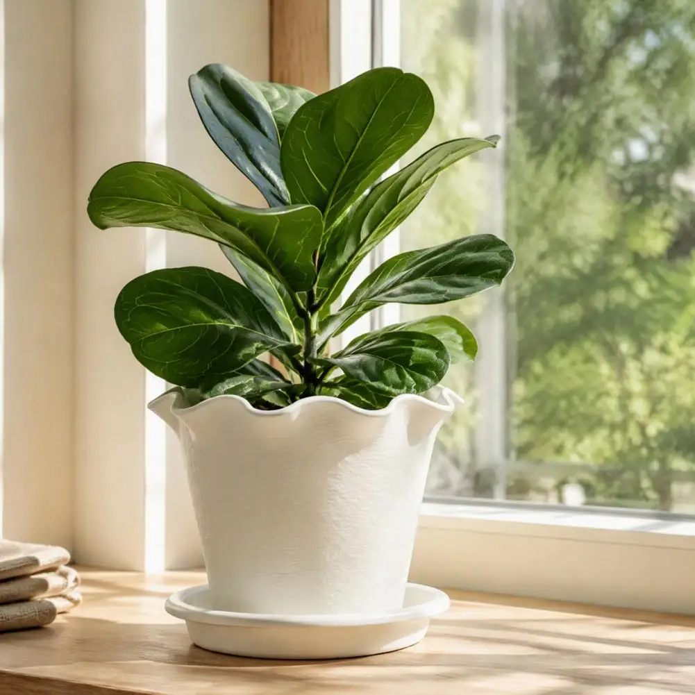 Indoor Outdoor Flower Pots Wavy Edge Planter with Saucer Thickened Flower Pot with Drainage Holes Modern Indoor for Plants