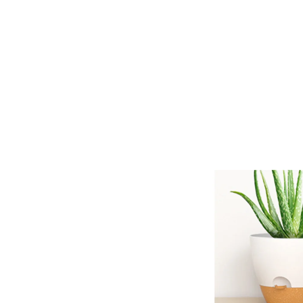 

5pc Plastic Flowerpot Self Watering Planters with Drainage Holes Water Level Monitoring Flower Pots for Indoor Outdoor Plants