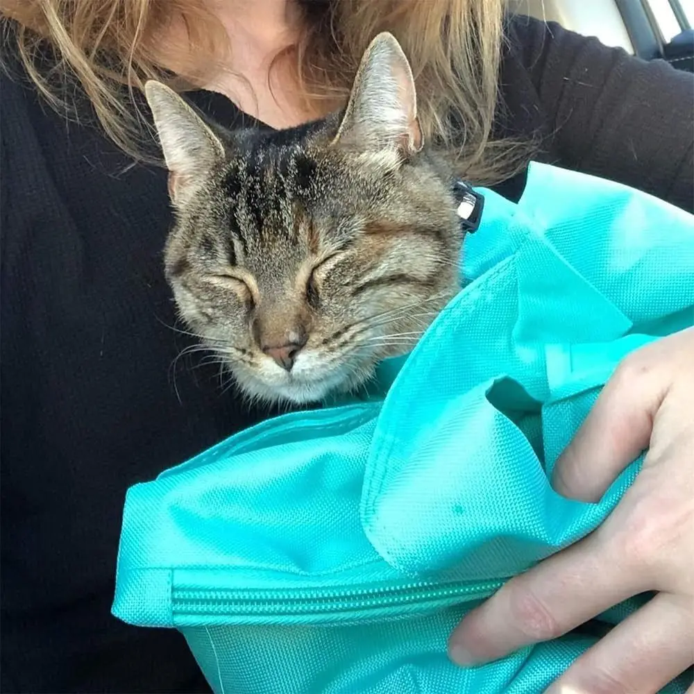 

Anti-Scratching Cat Carrier Pouch Washable Folds Cat Carrier Bag Tote Design Breathable Pet Shoulder Bag for Nail Trimming