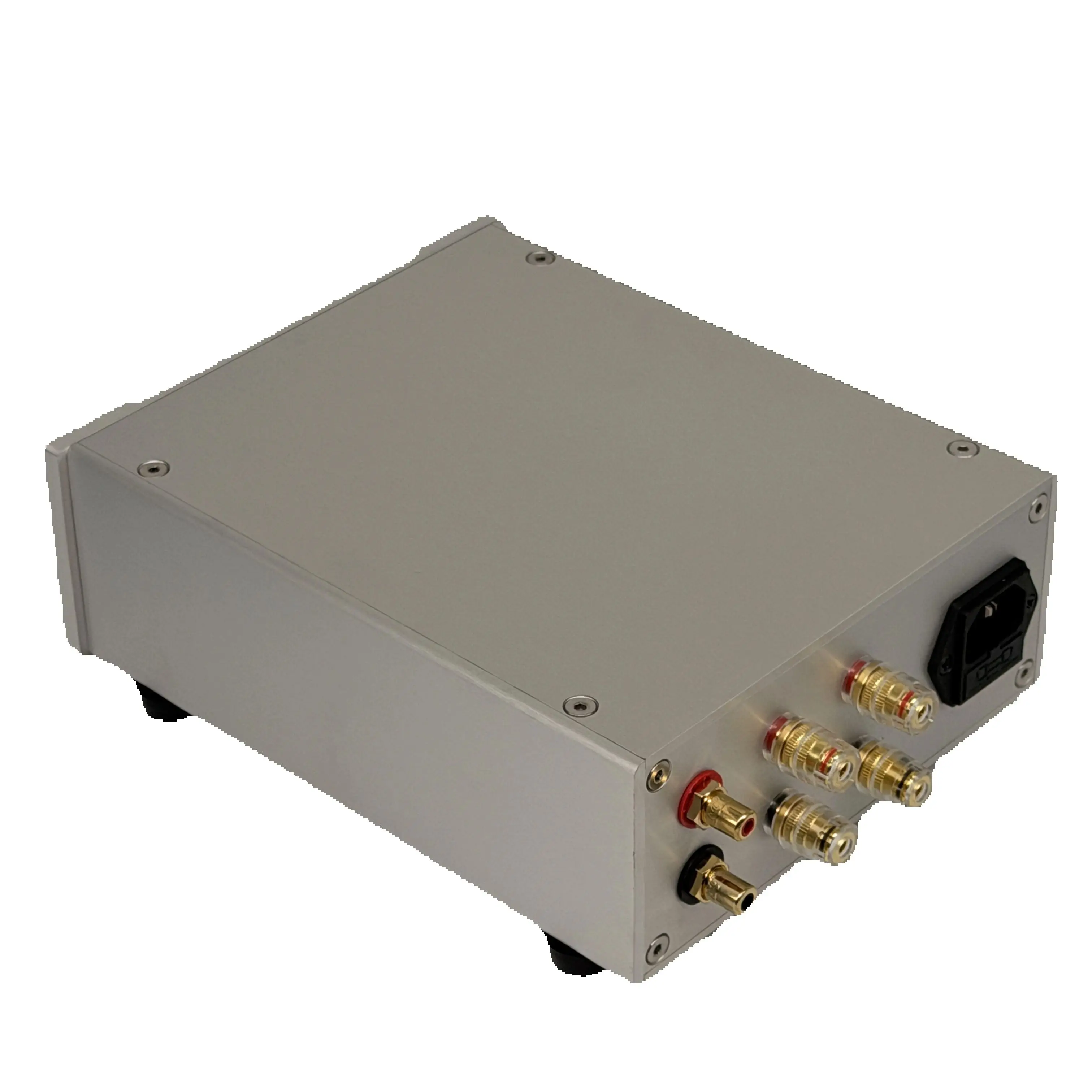 ICEPOWER 200AS2 HiFi amplifier DIY stereo digital amplifier HiFi amplifier audio