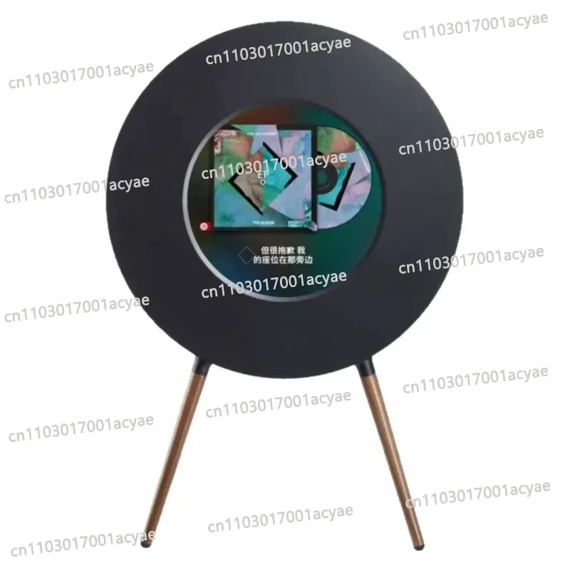 R1 record lyrics speaker vinyl floating subtitles bluetooth stereo home living room stereod