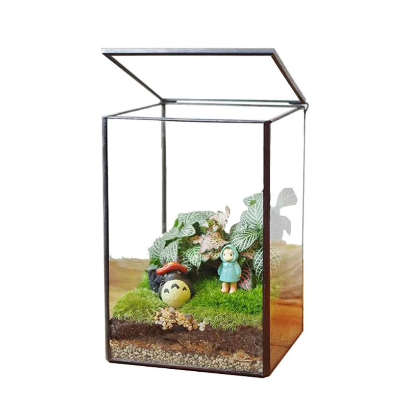 

Moss sunken wood micro landscape rainforest tank ecological bottle landscaping geometric glass flower house creativity