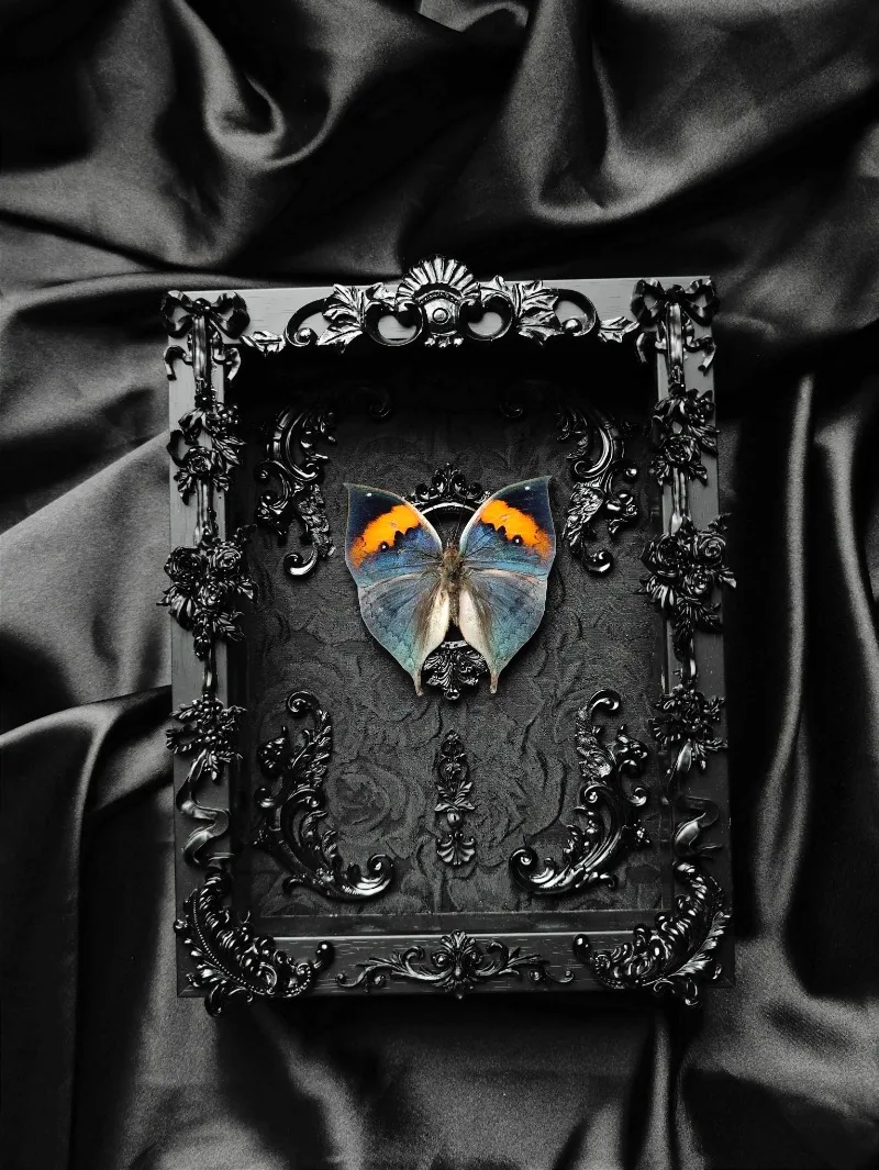 Real Butterfly Specimen Photo Frame Rare Ornament Couple Birthday Gift Finished Wings Decoration Sculpture Gothic Decor