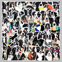 50pcs Border Collie Series Graffiti Stickers Suitable for Helmet Desktop Wall Decoration DIY Sticker Pack with Storage Box