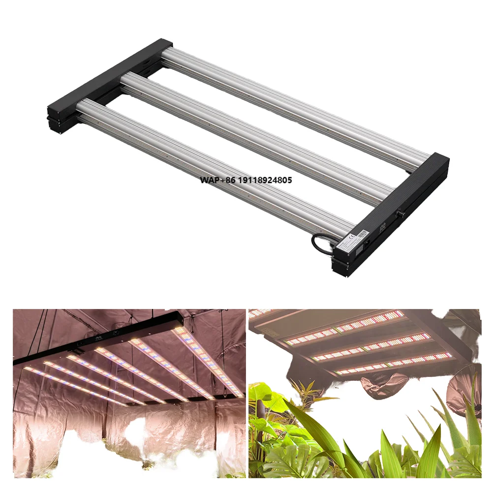 

Hydro 650W LED Grow Light LM301H Chip Emitting Red Blue White Light for Indoor Plant Growing Bloom