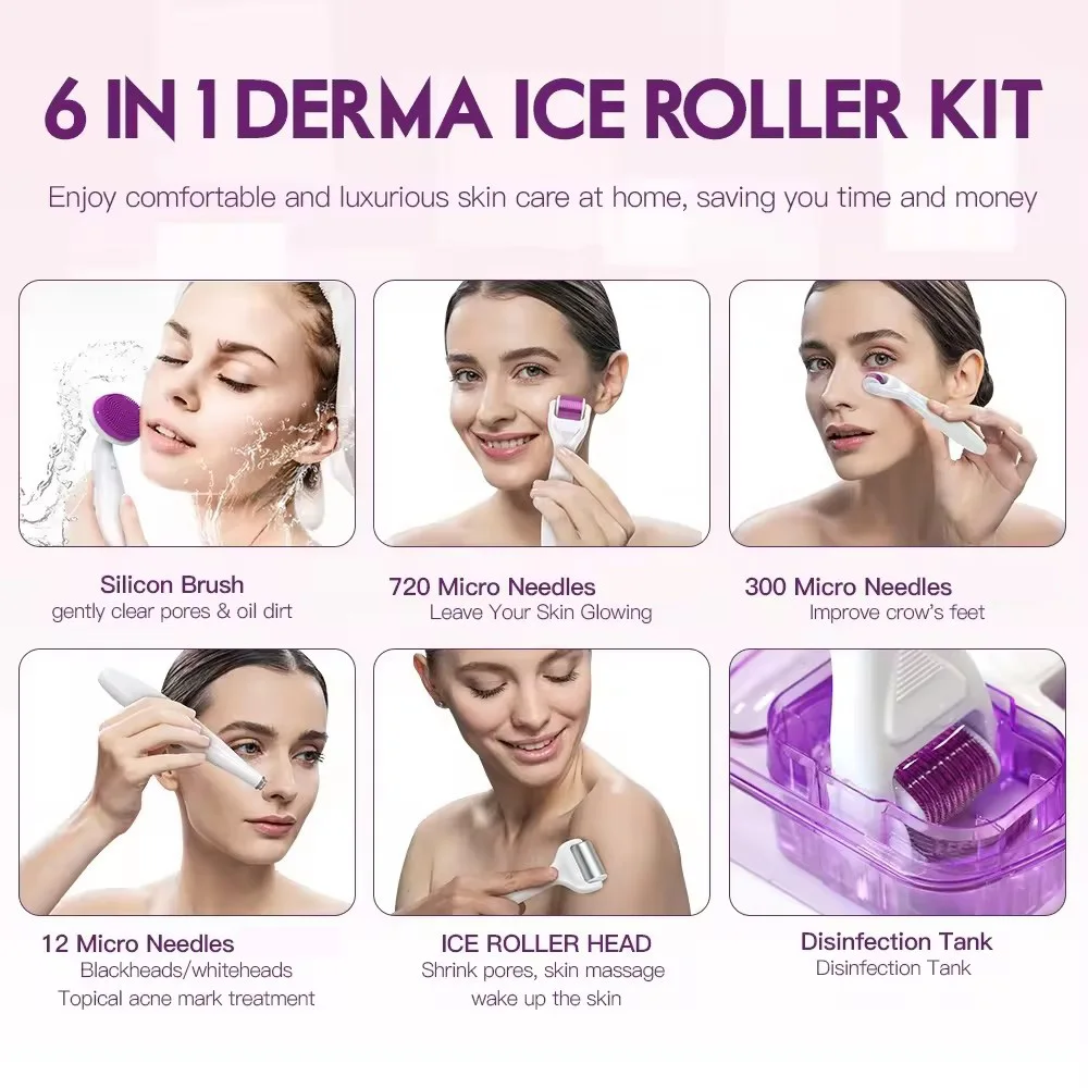 6 In 1 Microneedle Derma Ice Roller kit With 720/300/12 pins Stainless Steel Replacement Heads Face Wash Silicon Brush