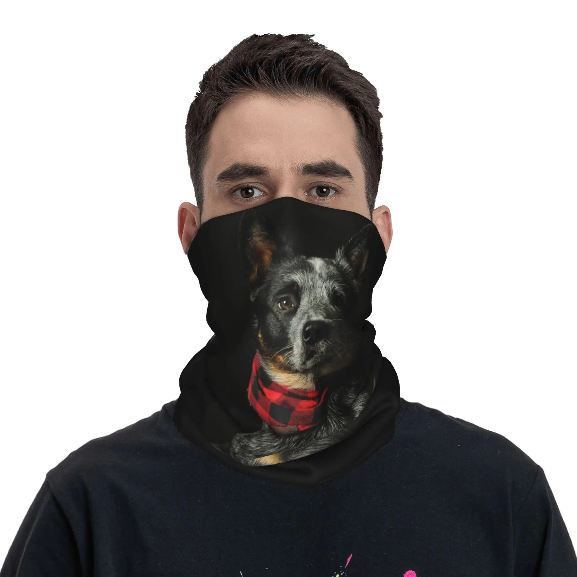 

Australian Cattle Dog Bandana Neck Cover Printed Wrap Mask Scarf Multi-use Headband Cycling For Men Women Adult Winter