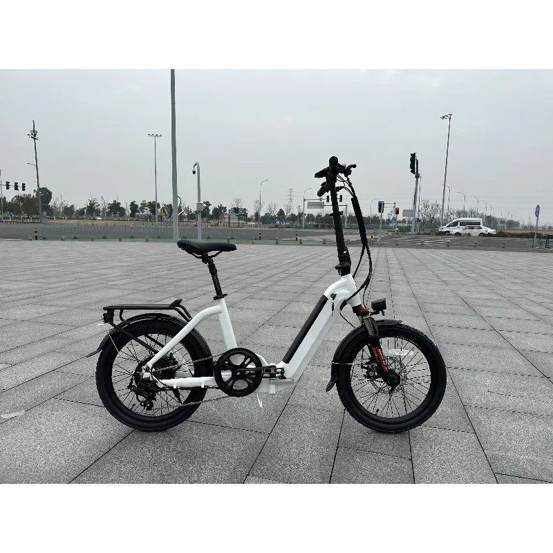 Folding City Electric Bike  36V 350W Rear Motor 20 Inch E Bike Electric Bicycle for Woman - view 2