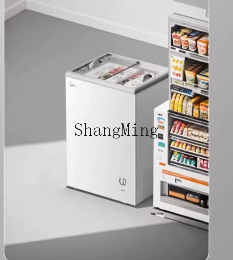 ZYY خزانة عرض صغيرة منزلية وتجارية، ثلاجة فريزر آيس كريم صغيرة