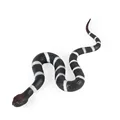 Narrow banded
