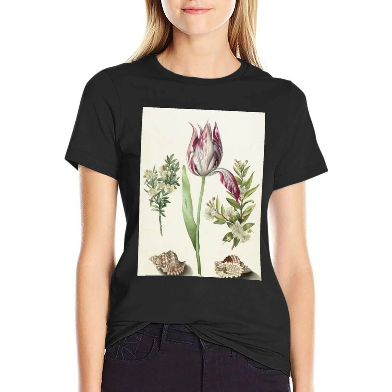 Tulip, two Branches of Myrtle and two Shells Maria Sibylla Merian c. 1700 T-Shirt animal print shirt for girls woman t shirt