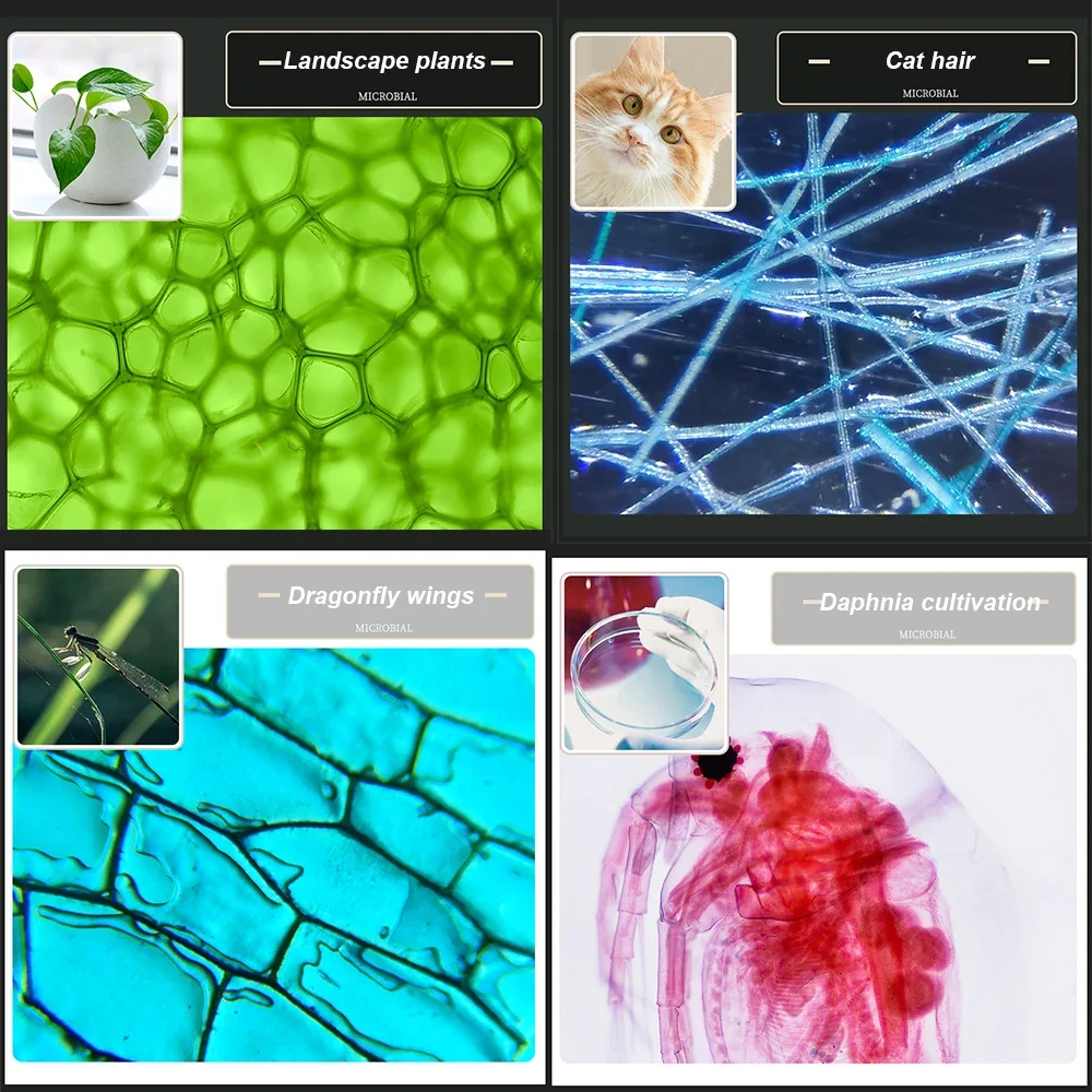 Mikroskop biologiczny dla dzieci mikroskop laboratoryjny LED 100X 400X 1200X lupa dla dzieci nauka mikroskopy edukacyjne ze szkiełkami