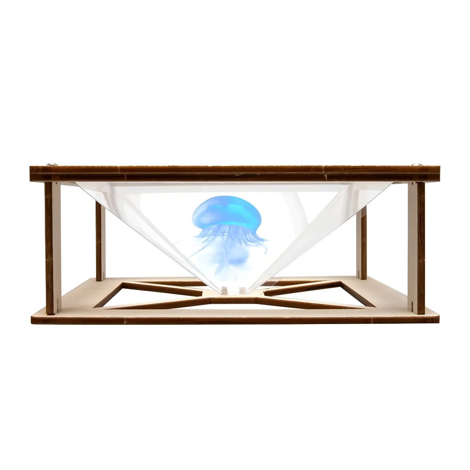 Children's Science and Education Toy Models, DIY Projection Handcrafted Assembly Models DIY Educational Science Experiment Gifts