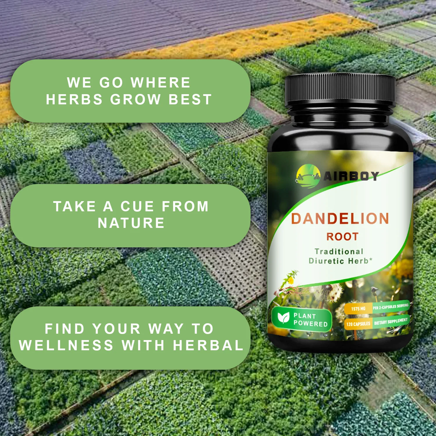 كبسولات جذور الهندباء - إزالة السموم من الكبد وتنظيفها، تعزز المناعة - 120 كبسولة