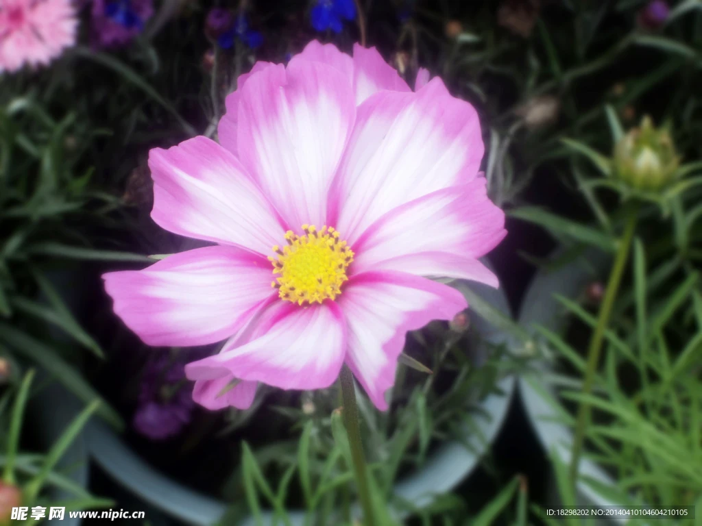 

for SCX30 0.7 Inch Soft Rubber Tires 40×16mm With Foam Inserts for 1/30 Scale RC Crawler Axial SCX30 Micro Crawler