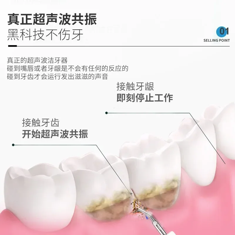 منظف الأسنان بالموجات فوق الصوتية المحمولة للاستخدام المنزلي ، معدات التجميل للحيوانات الأليفة ، وإزالة الحجارة