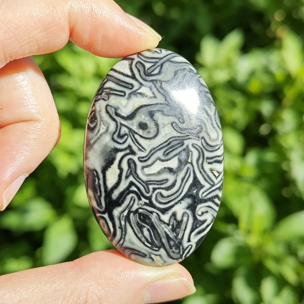 Pierre roulée d'agate noire Crazy Lace pour la mise à la terre des chakras, la relaxation, le soulagement du stress, la pleine conscience et l'énergie