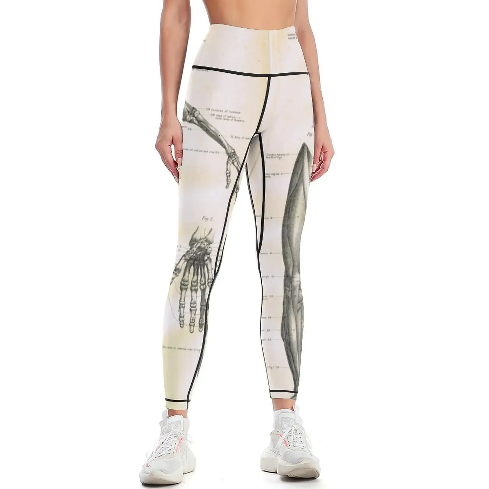 

19th century anatomy illustration parts ofa human skeleton Leggings Female legging pants legging push up Womens Leggings