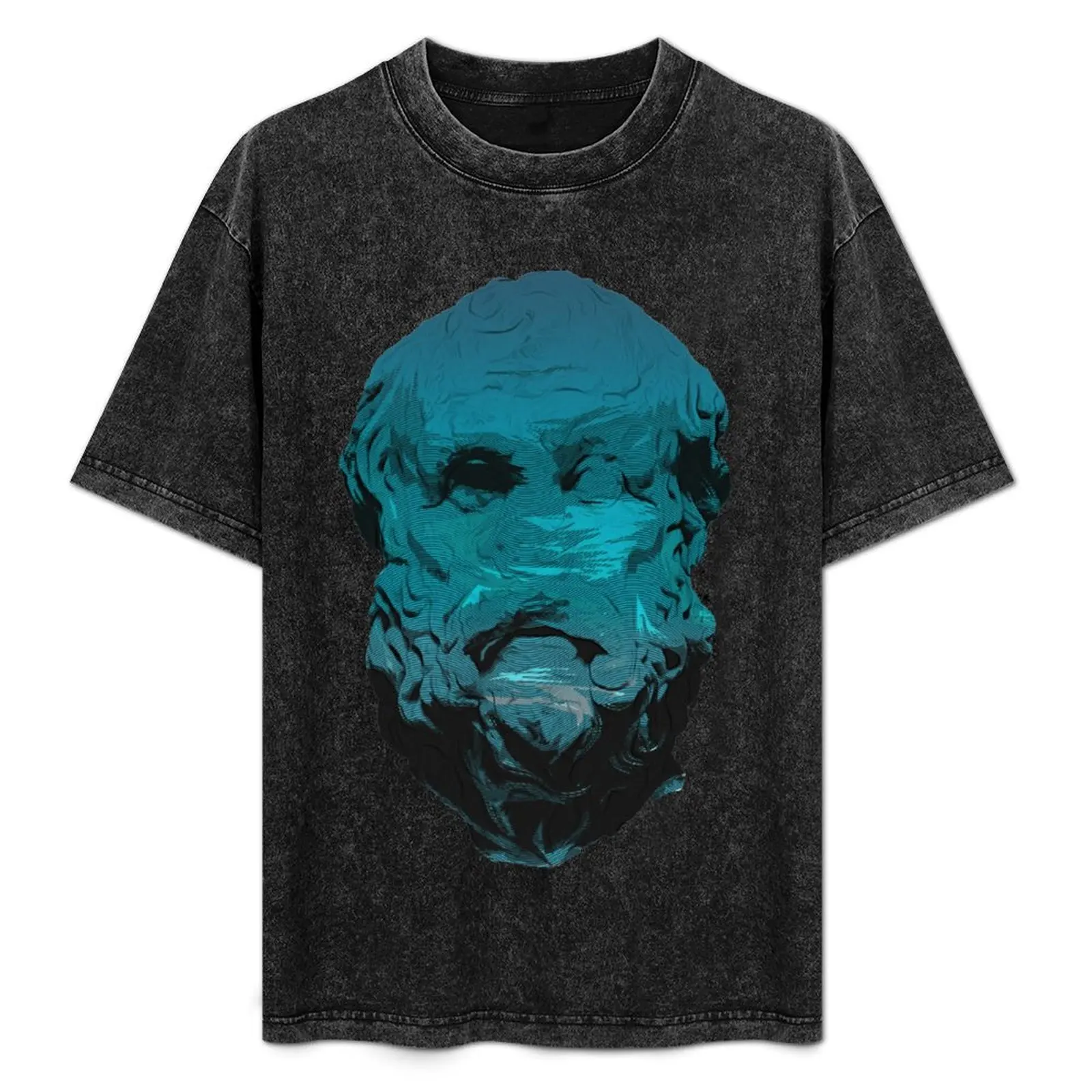 

Diogenes the Cynic T-Shirt printed t shirts for man t shirts with prints t shirt personalised man shirt summer T-Shirt