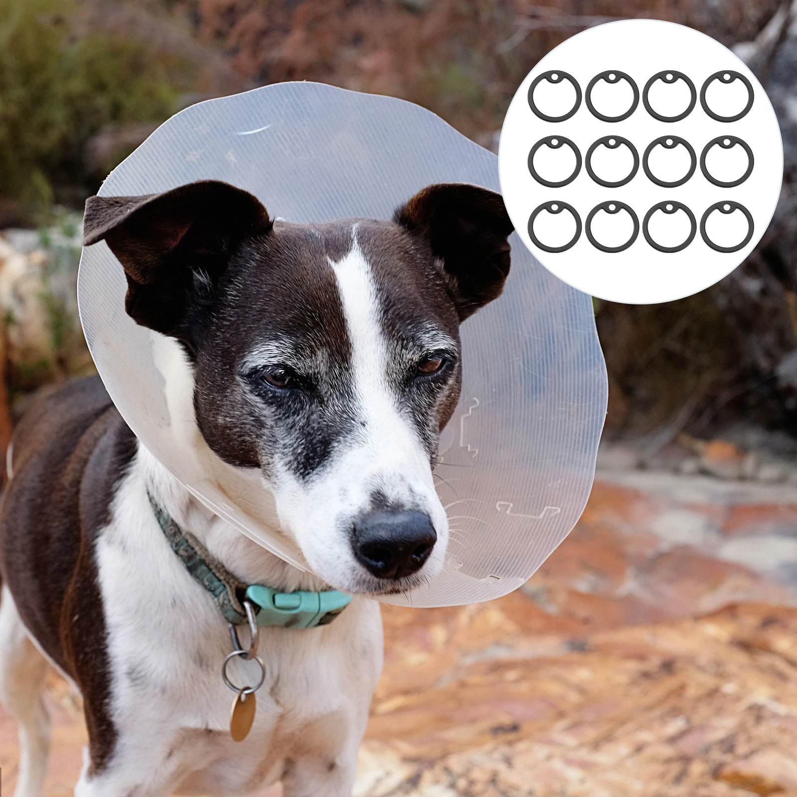 

12pcs Silicone Dog Tag Silencers Round Mute Rings For Military Pet Id Tags Noise Reduction Durable Rubber Protector