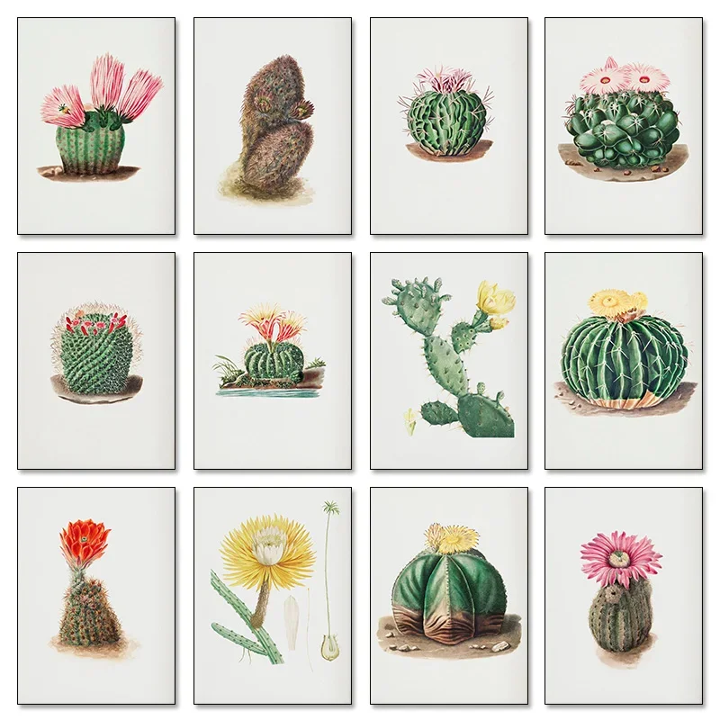 Gorra de obispo, Cactus, desierto, California, Cactus, flor, abanico, póster de Aloe, impresión en lienzo, decoración, sala de estar, dormitorio, arte de pared, decoración del hogar