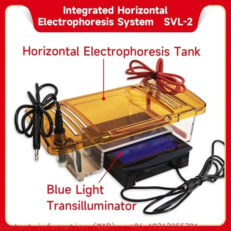 

【Best-selling】Portable Integrated Electrophoresis System Horizontal Electrophoresis Tank Electrophoresis Apparatus for PCR Lab