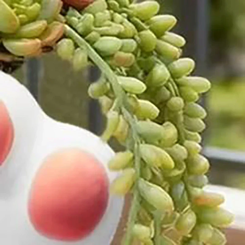 Modern Cat Paw Shaped Flower Pot Decorative Vase For Home Desktop Art Present Creative Cute Cat Paw Vase Desktop Decoration Flow