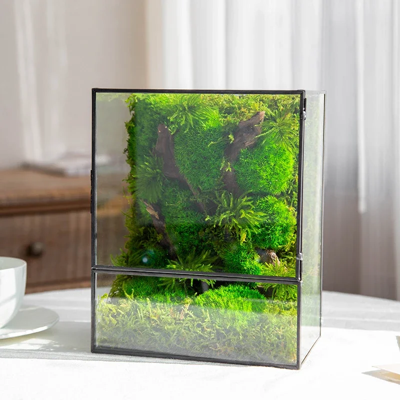 Ecological Ornament Gift Micro Landscape Desktop Cover Preserved Flower Plants Moss terrarium live moss preserved terrarium moss