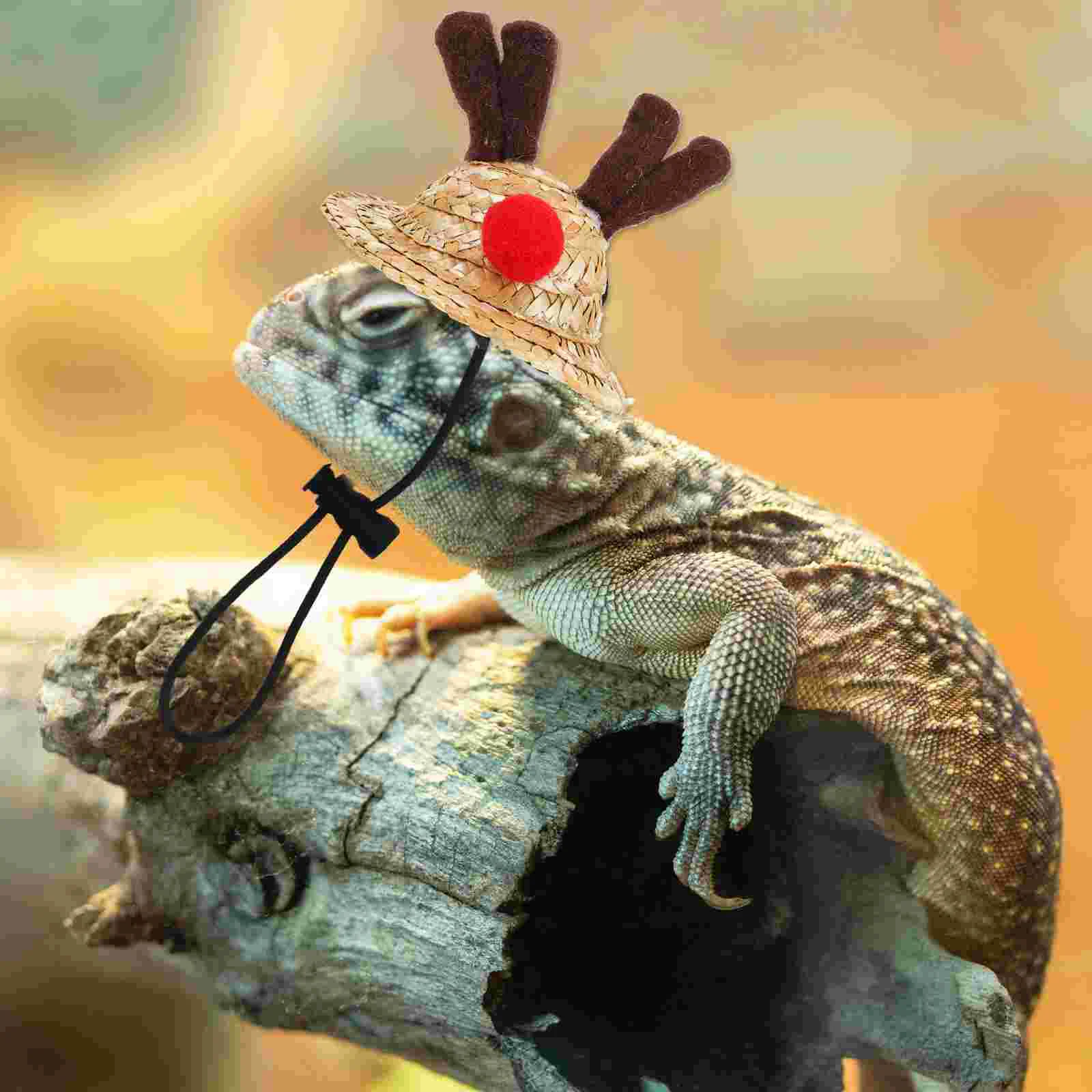 Brim Hat Lizard Bridegroom Pet Christmas Costume for Bearded Dragons Yarn Reptile Scarf