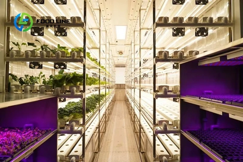 Large Green Vertical Hydroponic Container Farming System Stainless Steel Automatic Work Intelligent Controller 20FT Growing