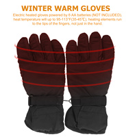 Powered Heated Gloves Waterproof Insulated Warm Thermal Gloves for Men Women Electric Heating Winter Outdoor Hiking