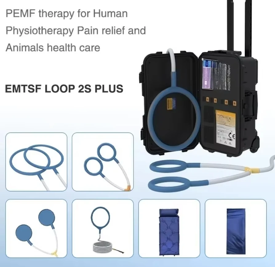 

Hot sales New Physiotherapy Equipment Pemf Magneto Therapy Device Horse Pemf Loop Pemf Pain Relief Magnetic Therapy Device