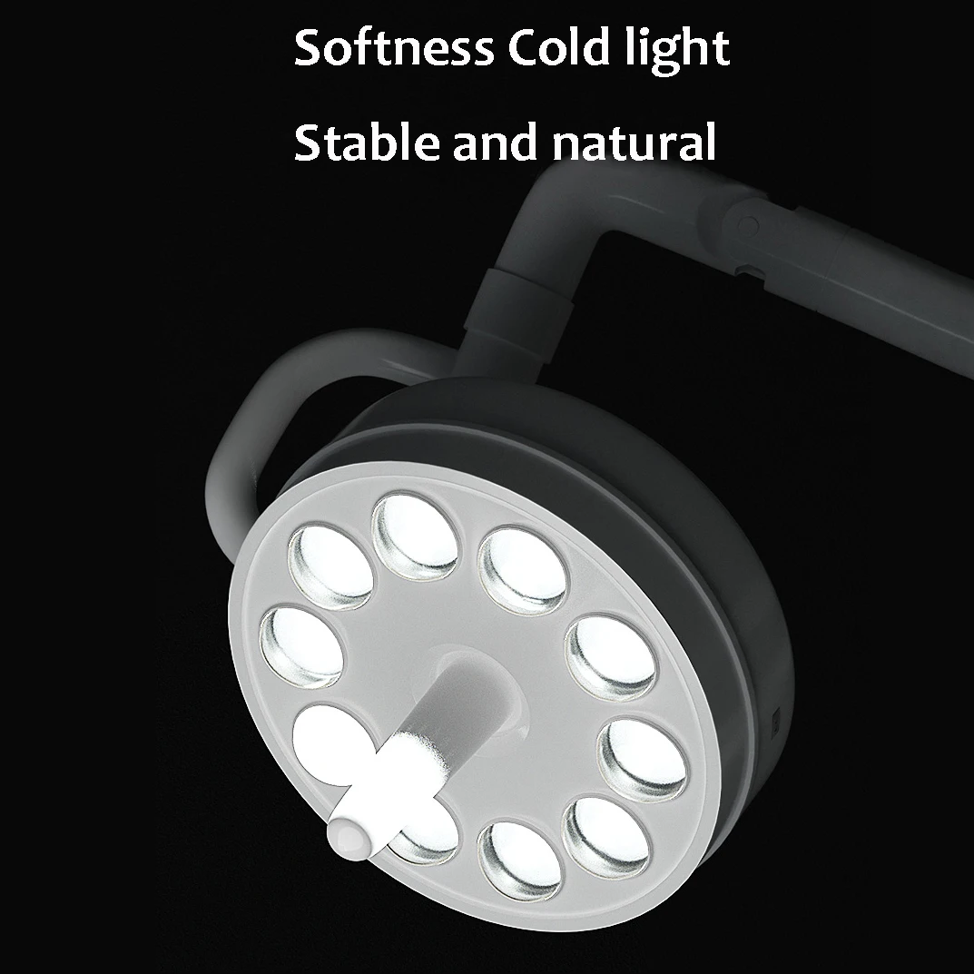 Ceiling Dental Light Lamp Shadowless Cold Light 30W Led Operation Surgical Light for Dental Chair Medical Examination