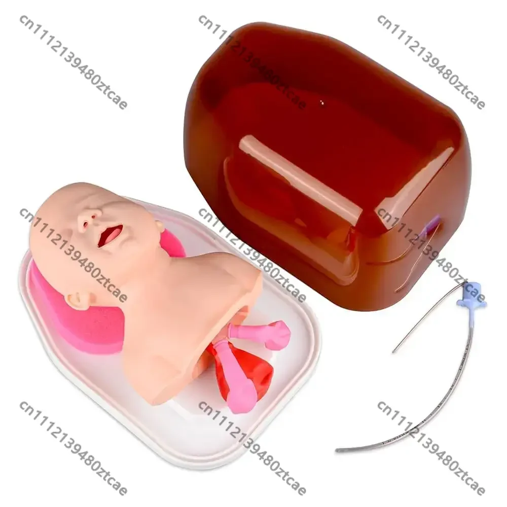 Neonatal Tracheal Intubation Training Model Infant Airway Management Practice Manikin Medical Teaching Simulation Dummy