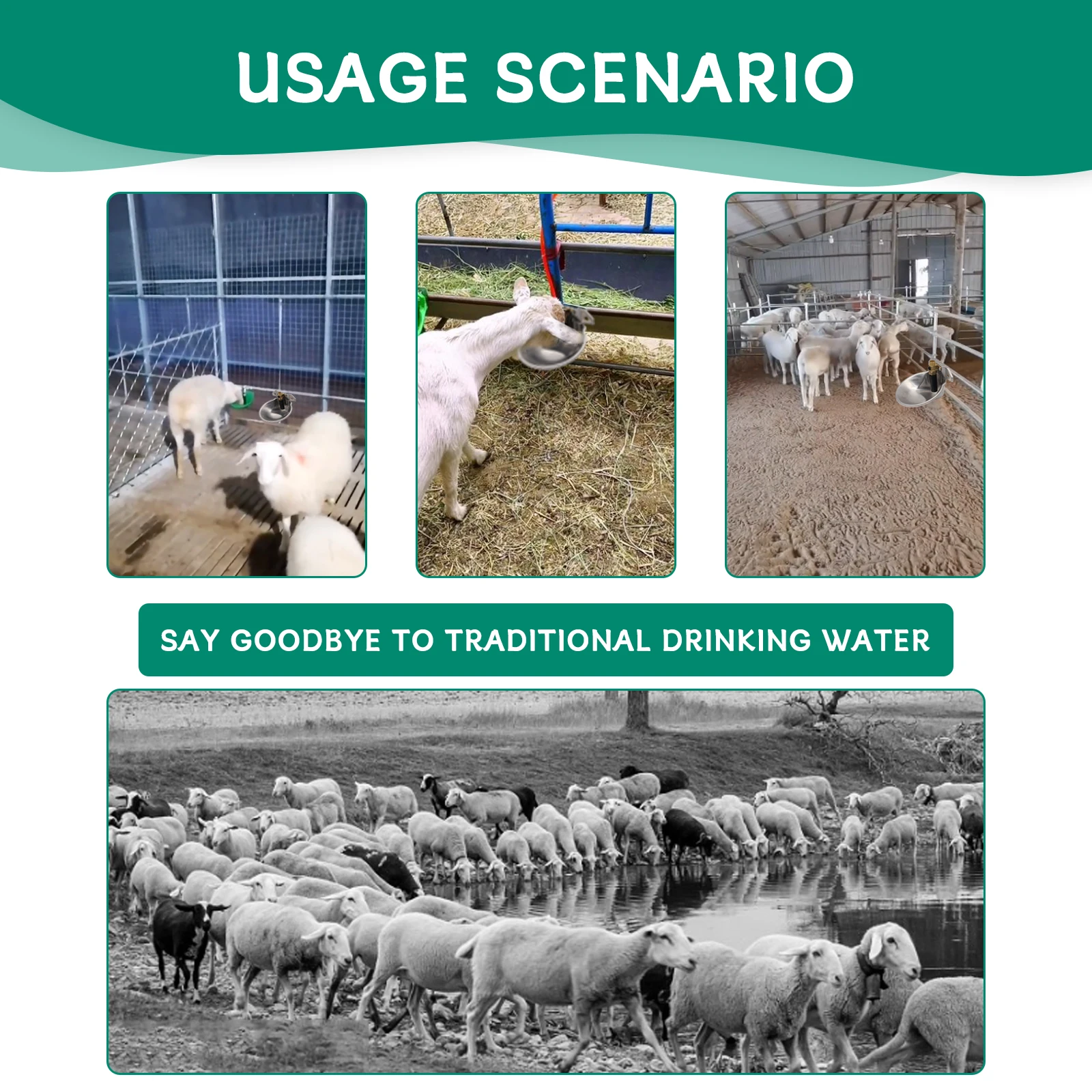 وعاء مياه الأغنام الأوتوماتيكي من الفولاذ المقاوم للصدأ للشرب والماعز ولحم الضأن مع صمام نحاسي معدات تغذية الحيوانات في المزرعة