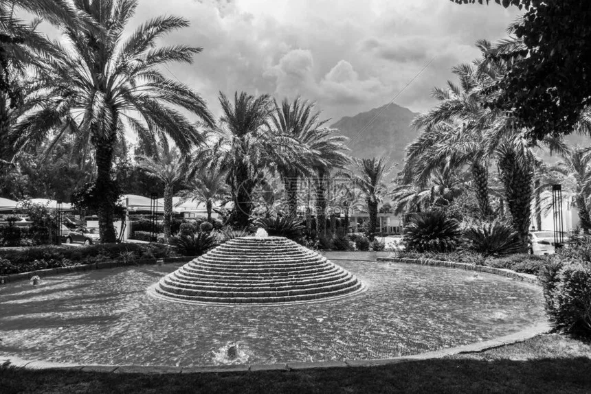 Samochód terenowy do wspinaczki 1/10, symulacja dla JJRC C8815 2.4G, skala wojskowa, pojazd terenowy, transport wojenny, zdalnie sterowany model pojazdu.