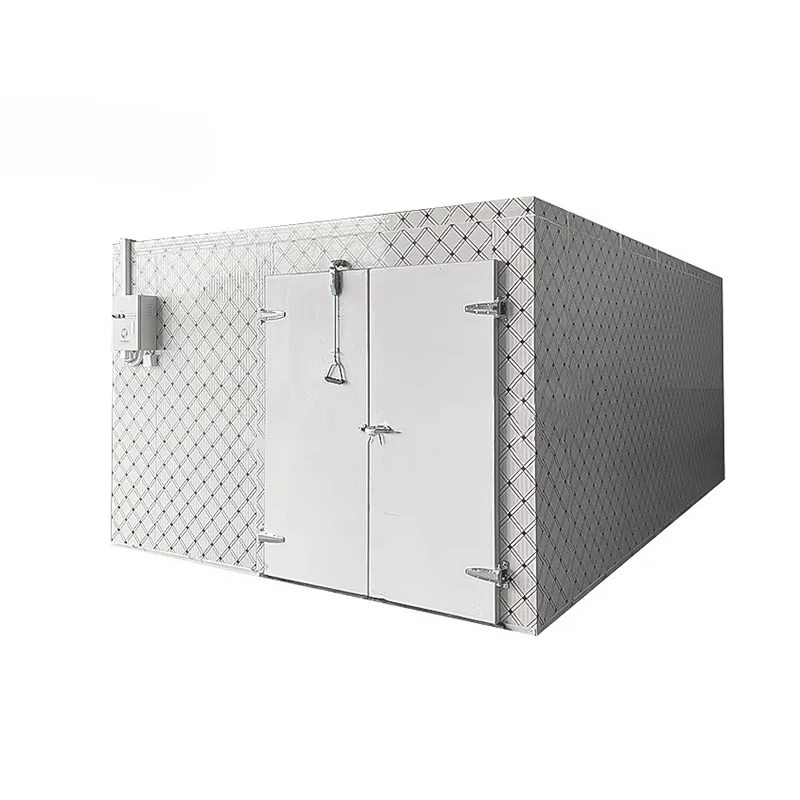 Customized Stable Quality Small Size Cold Storage Room Cooling Room for Fruits Cold Room Containers