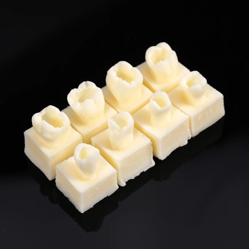

8pcs/set Dental Resin Filling Teeth Model Tooth Morphology Training Resin Granule Filling Dentistry Oral Filling Practice Tools