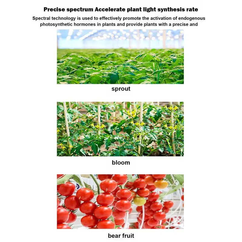 Indoor Plant Grow Light LED Full Spectrum Sunlight Grow Lamp Auto On/Off Grow Light Bulb Dimmable Grow Light For Indoor Plants