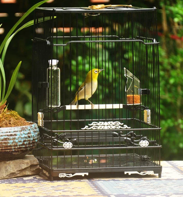 Black Square Bird Cages Parrot Outdoors Decoration Carrier Budgie Bird Cages Canary Breeding Jaula Pajaro Birds Supplies